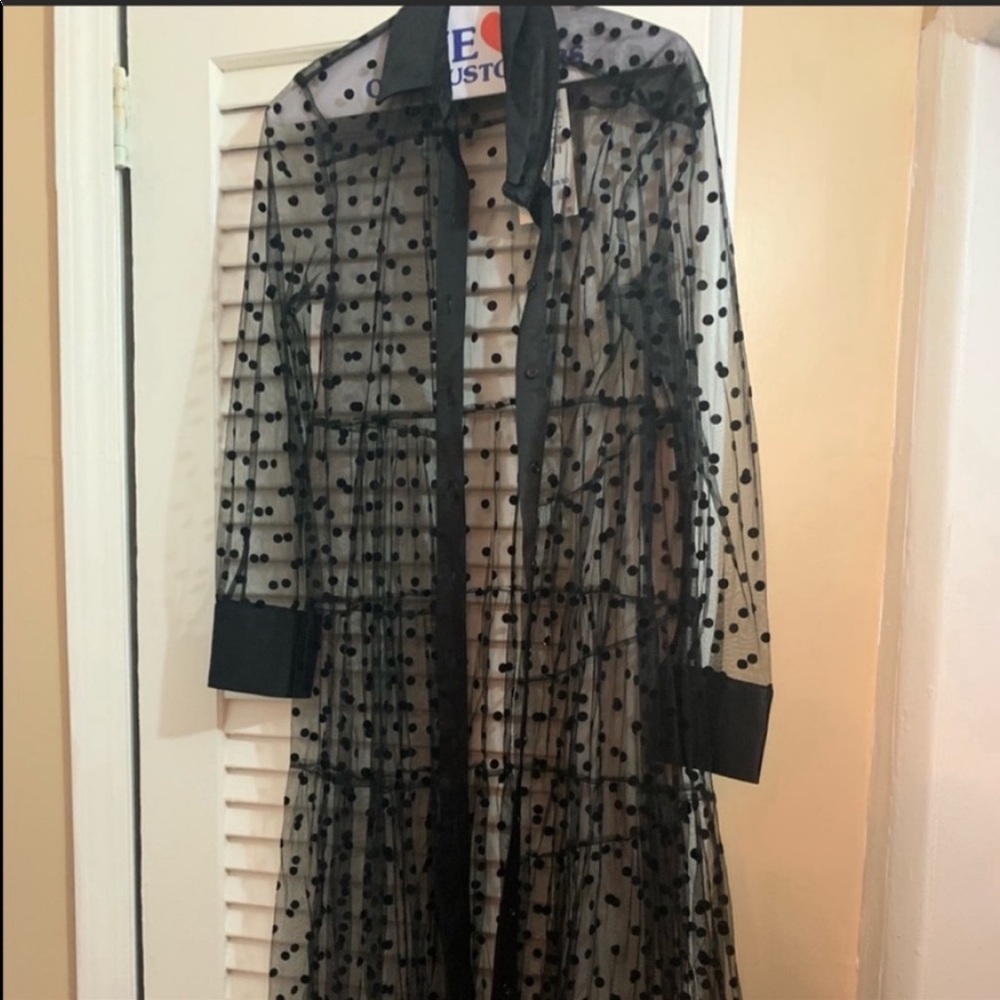 Zara Sheer Tulle Cardigan Dress